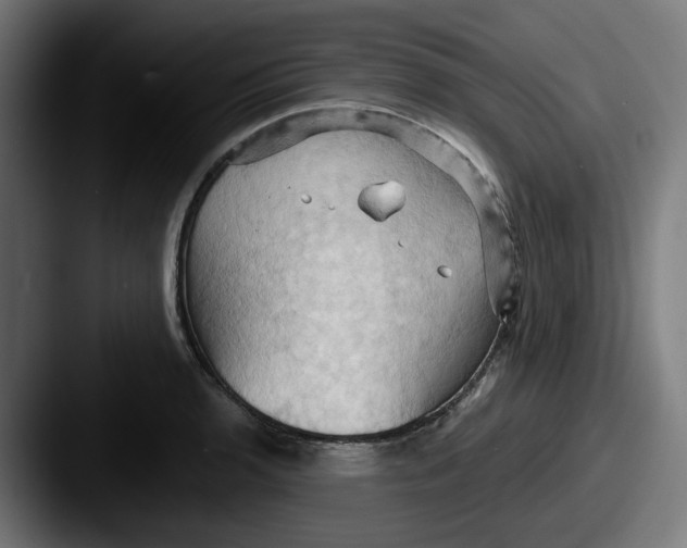 X0000087531136200705181026