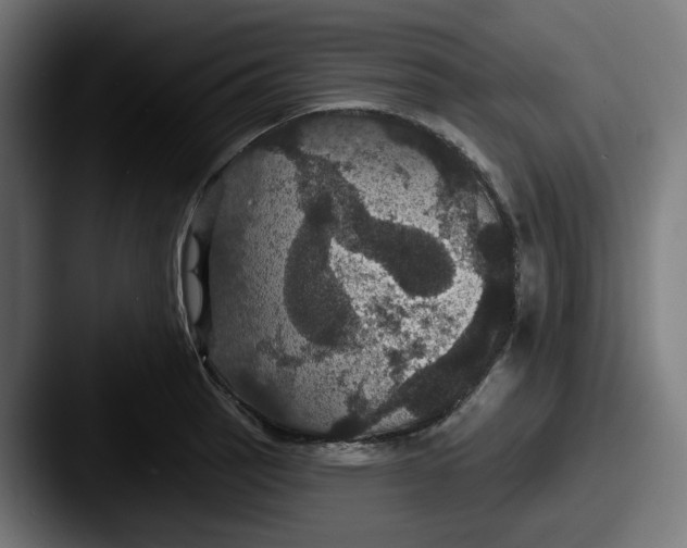 X0000087531137200705181026