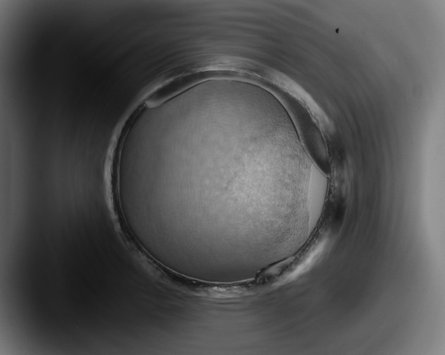 X0000087531138200705181026