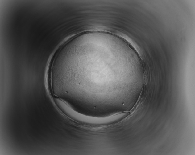 X0000087531139200705181026