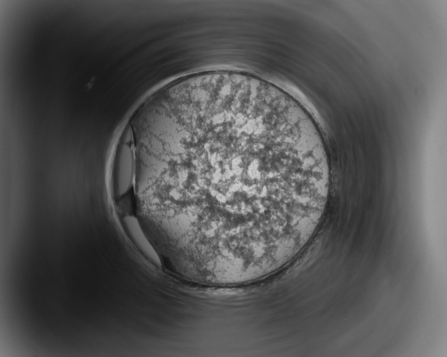 X0000087531140200705181026