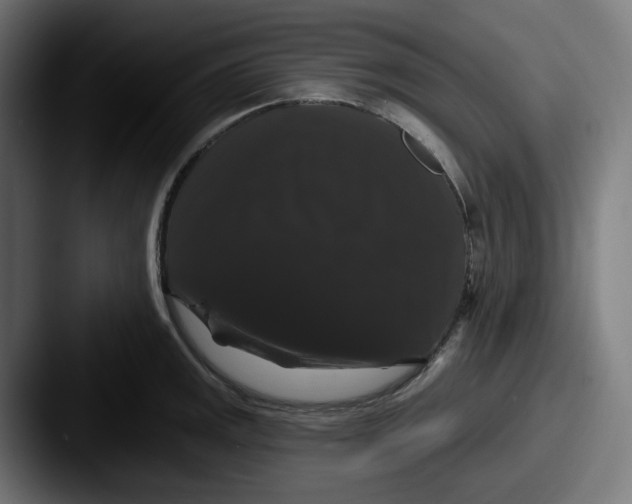 X0000087531141200705181026