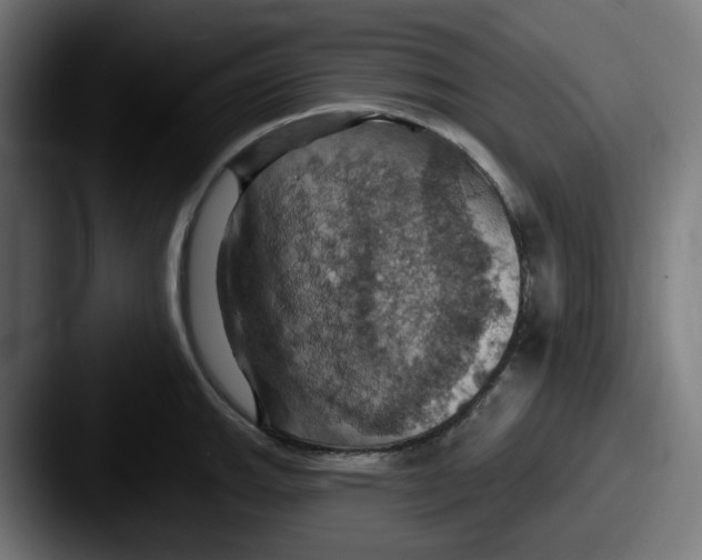 X0000087531143200705181026