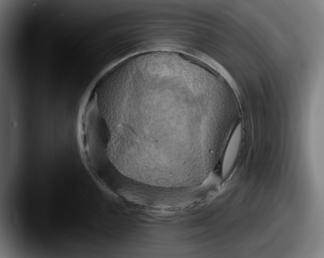 X0000087531144200705181026