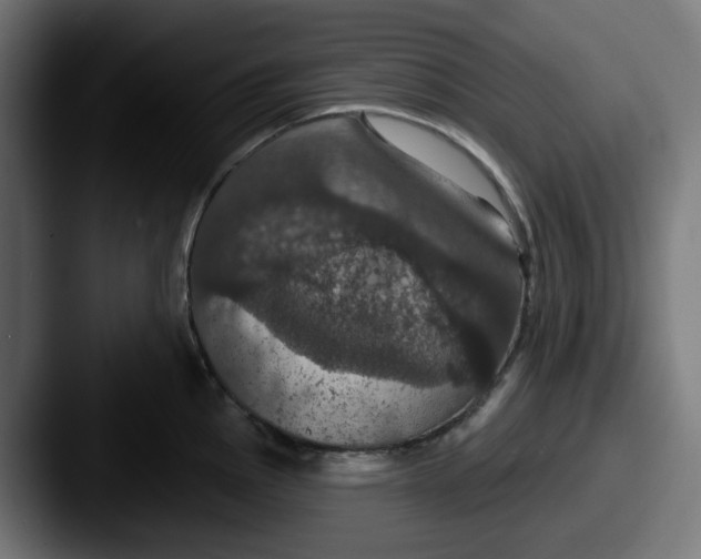 X0000087531145200705181026