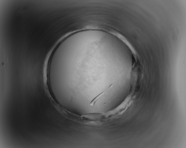 X0000087531148200705181026