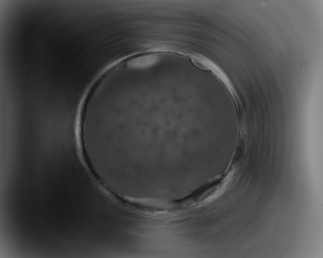 X0000087531149200705181026