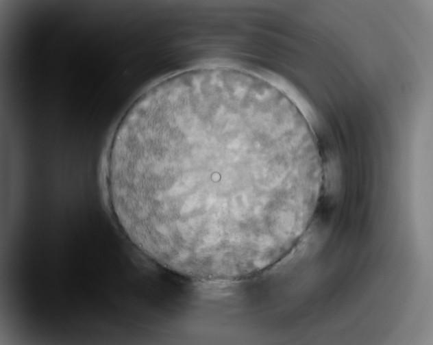 X0000087531150200705181026