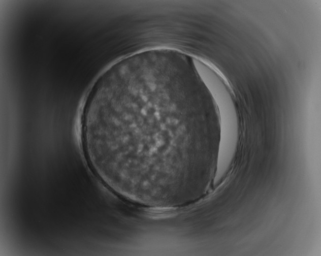 X0000087531151200705181026