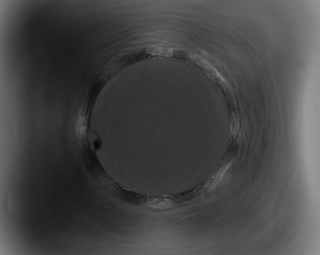 X0000087531154200705181025