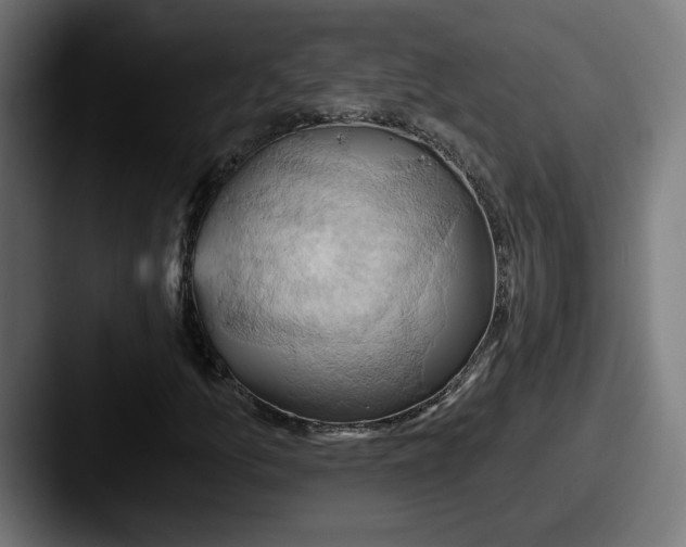 X0000087531157200705181025