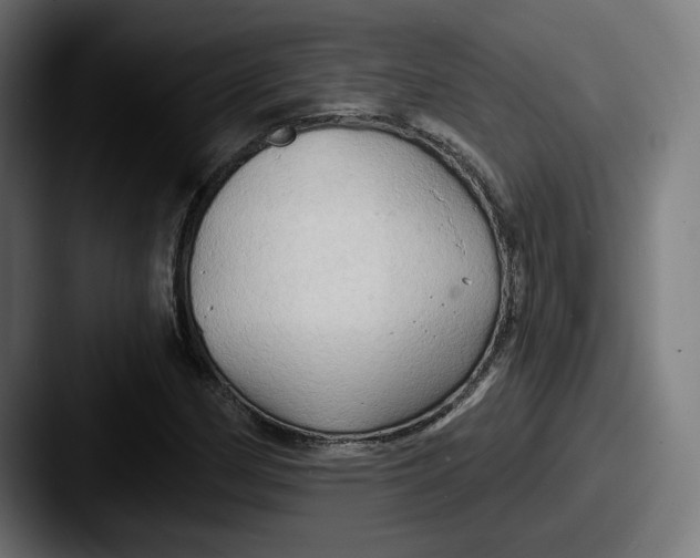 X0000087531162200705181025