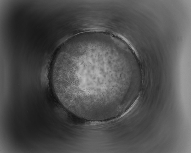 X0000087531163200705181025