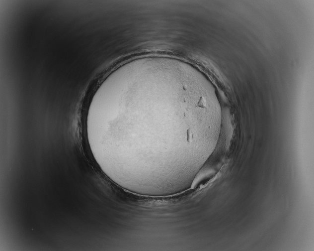 X0000087531164200705181025