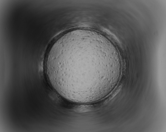 X0000087531166200705181025