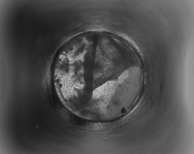 X0000087531167200705181025