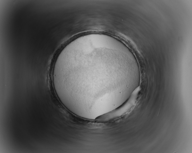 X0000087531168200705181025