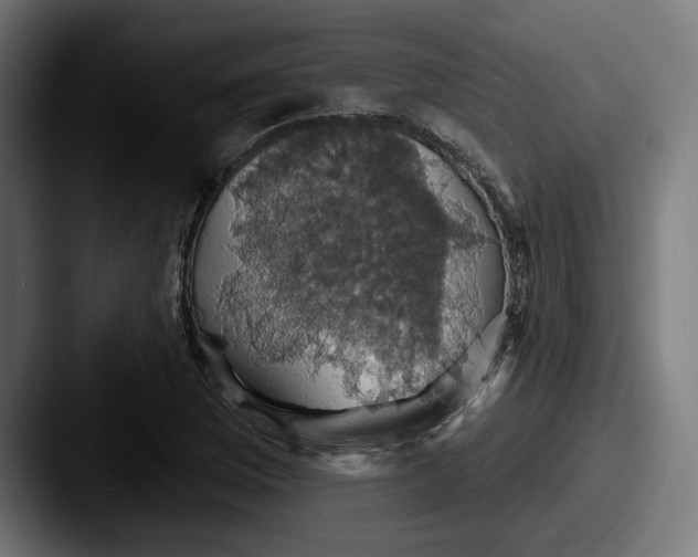 X0000087531169200705181025