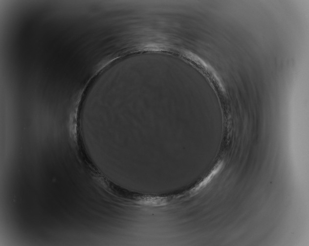 X0000087531170200705181025