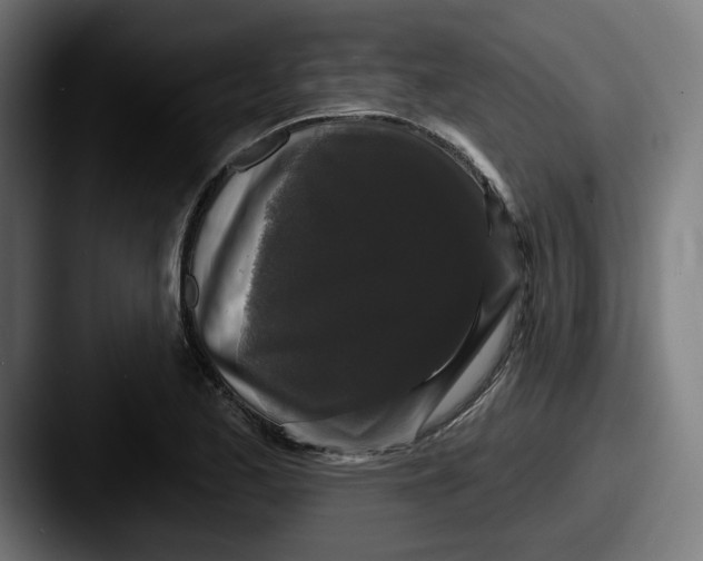 X0000087531173200705181025