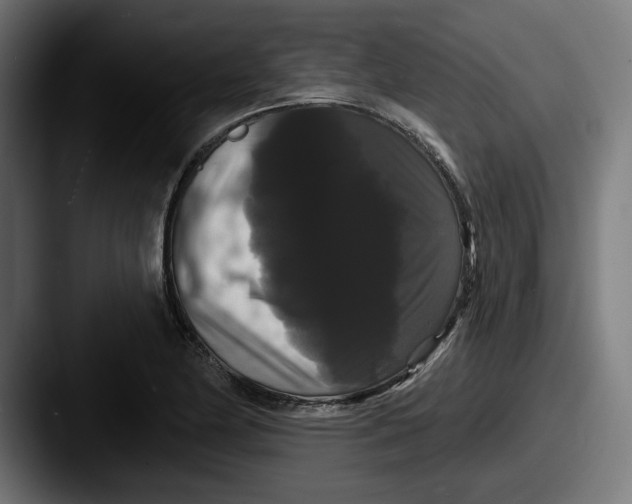 X0000087531174200705181025