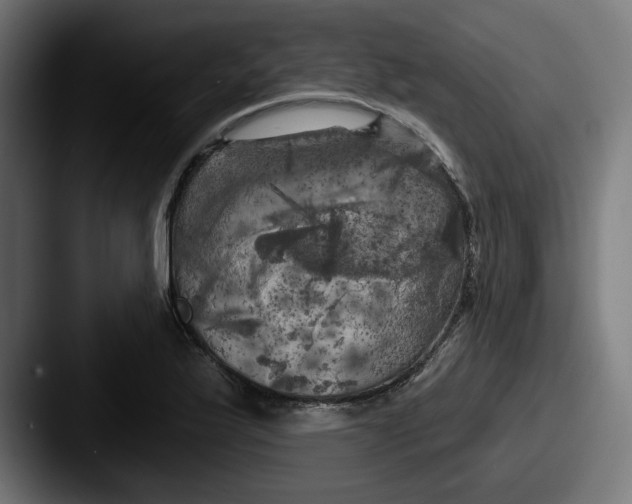 X0000087531175200705181025