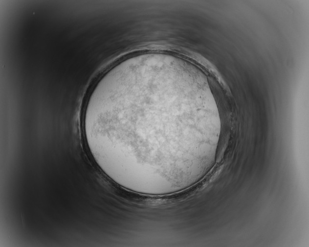 X0000087531176200705181025