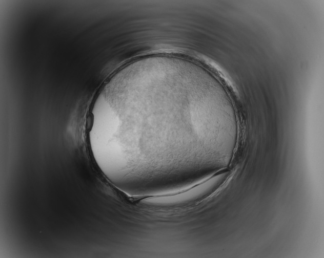 X0000087531177200705181025