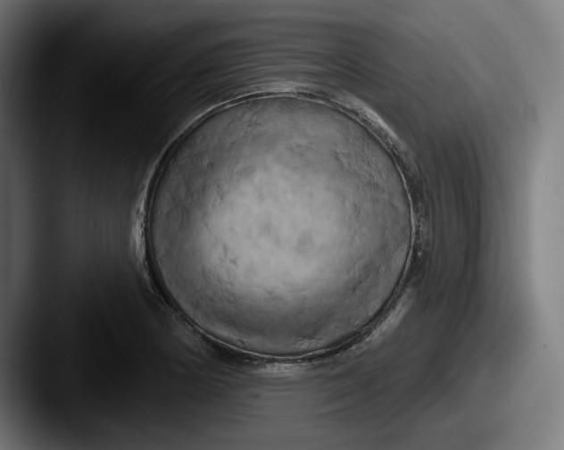 X0000087531178200705181025