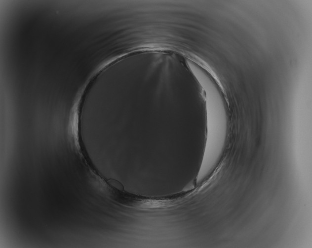 X0000087531179200705181025