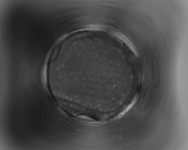 X0000087531180200705181025