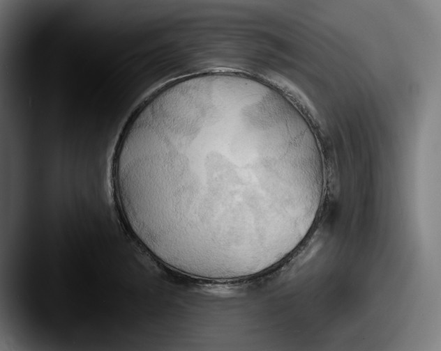 X0000087531182200705181025