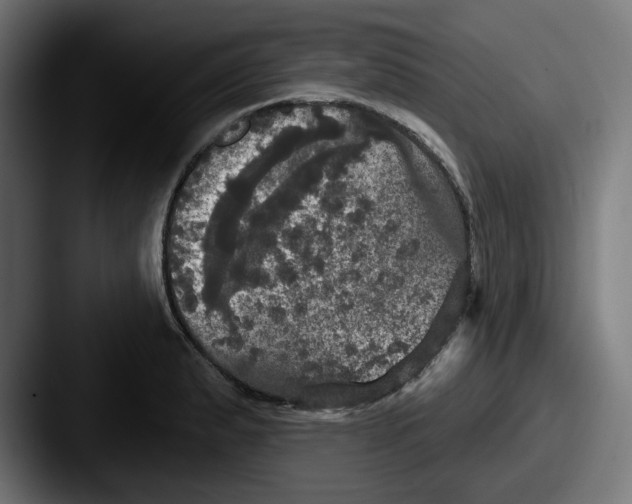 X0000087531183200705181025