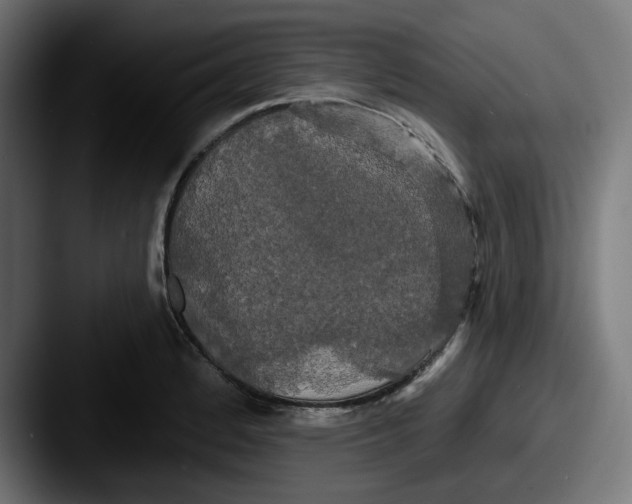 X0000087531184200705181025