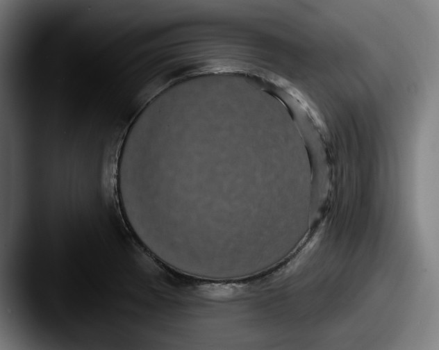 X0000087531185200705181025