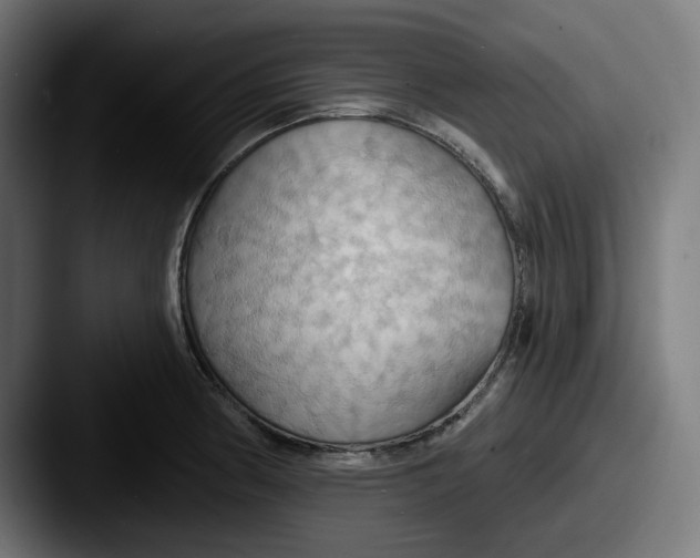 X0000087531186200705181025