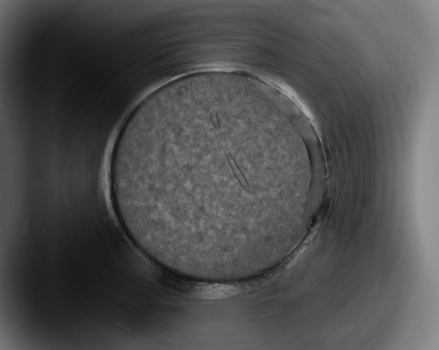 X0000087531187200705181025