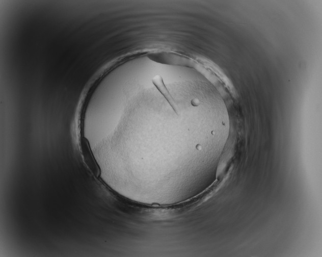 X0000087531188200705181025