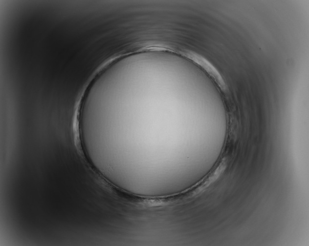 X0000087531190200705181025