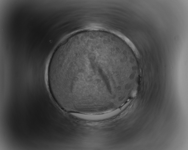 X0000087531191200705181025