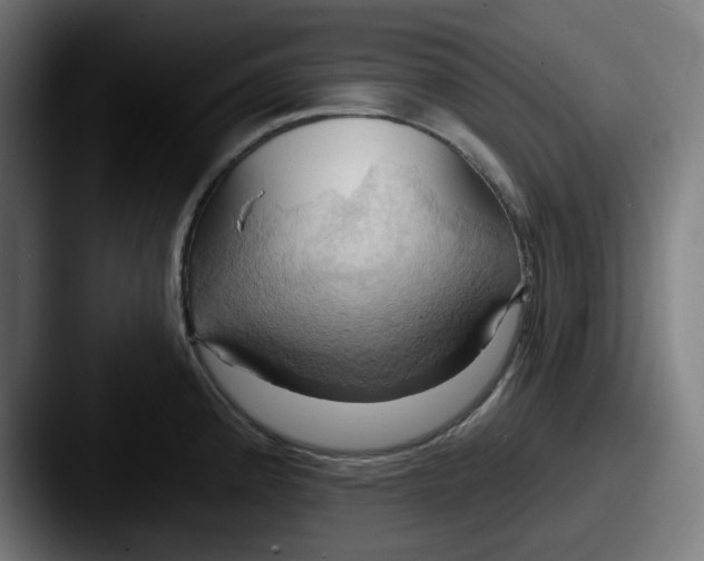 X0000087531192200705181025