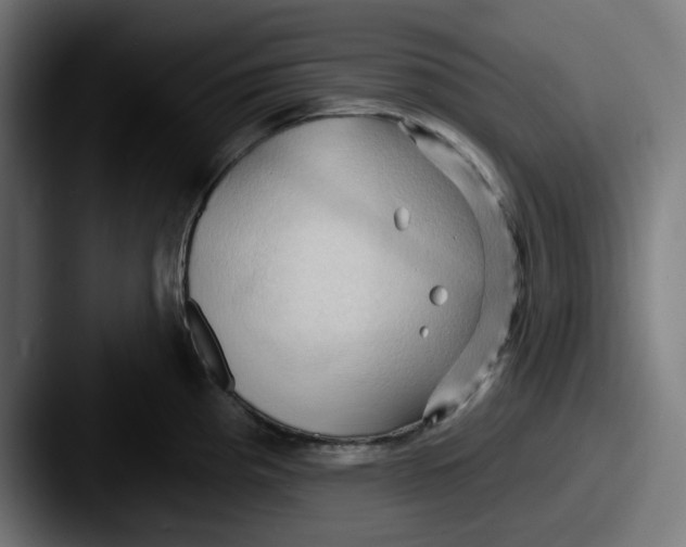 X0000087531193200705181025