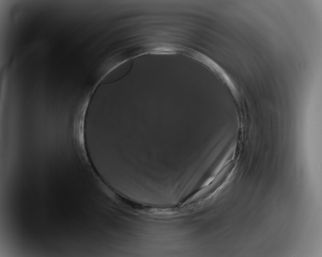 X0000087531194200705181025