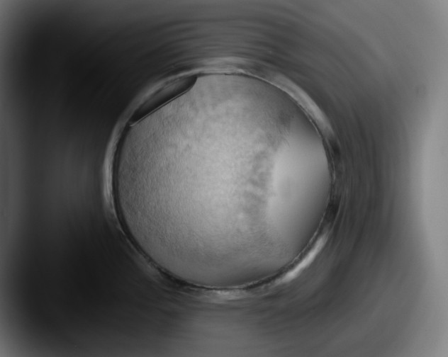 X0000087531196200705181025