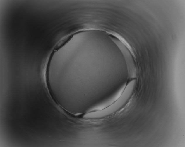 X0000087531197200705181025