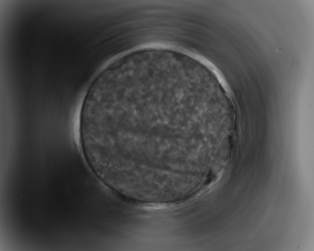 X0000087531199200705181025