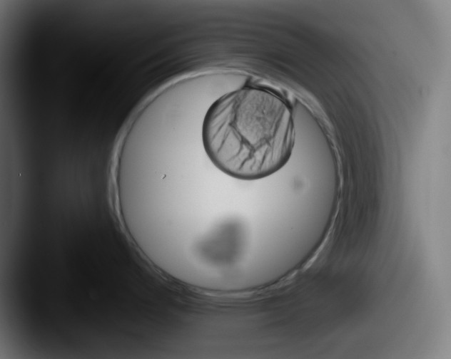 X0000087531200200705181025