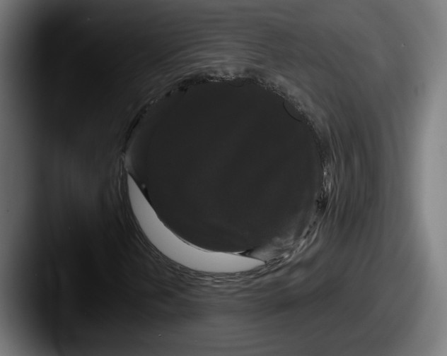 X0000087531202200705181024