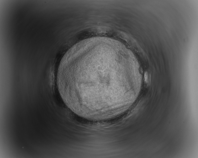 X0000087531203200705181024