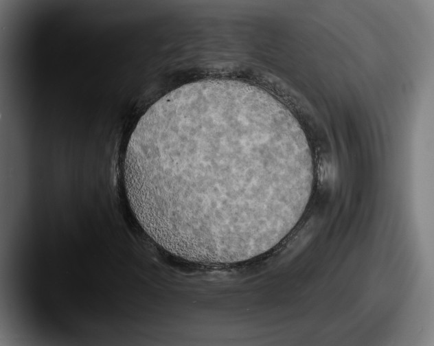 X0000087531204200705181024